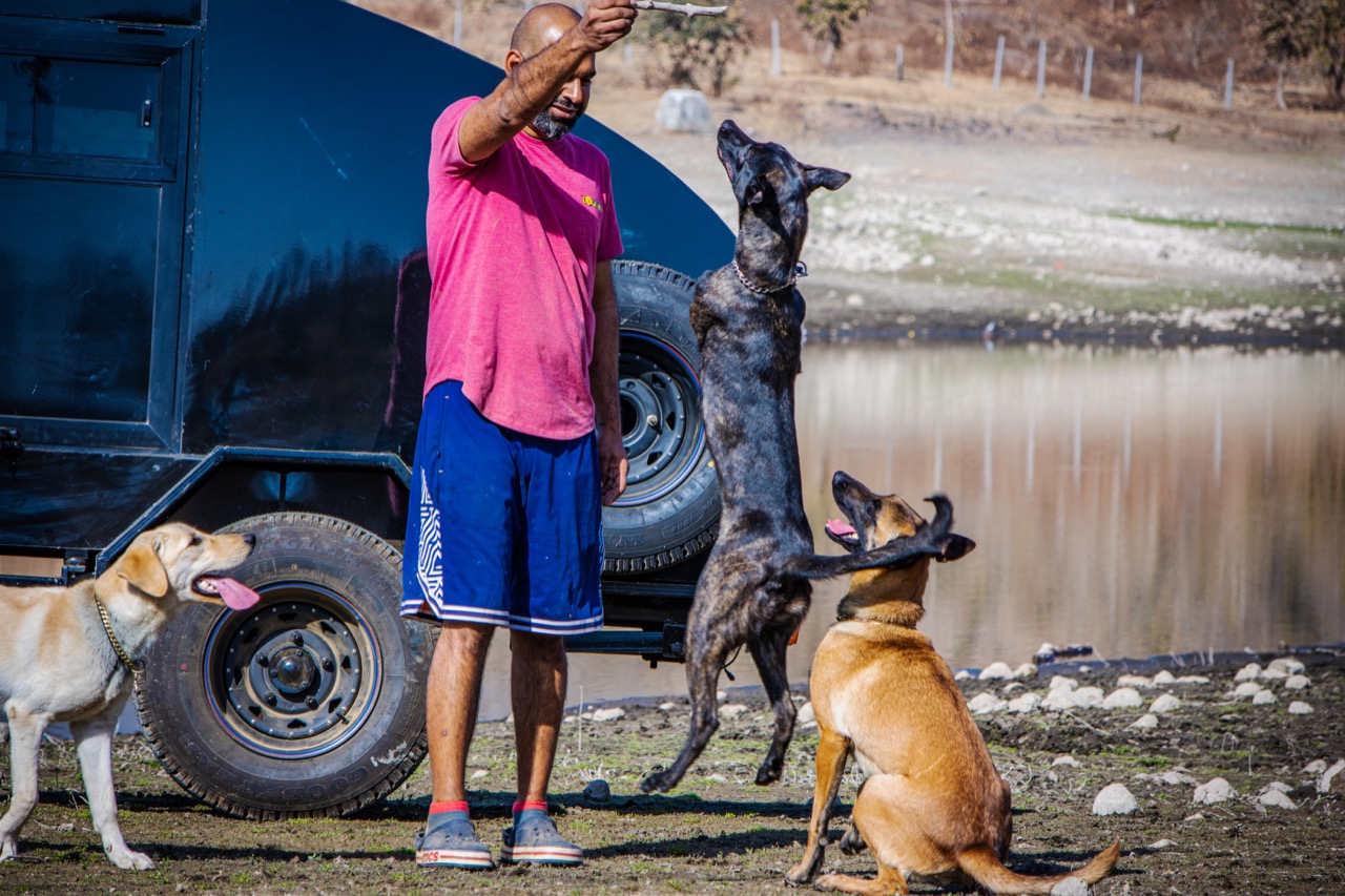 Furventures - Pet Adventures & Events - Photo 22